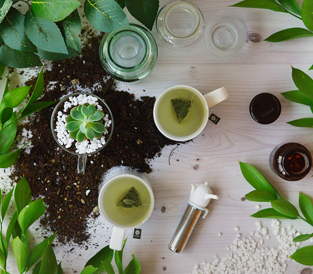 제주 난꽃향 그린 티