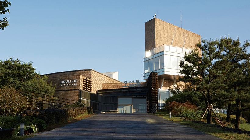 제주 오설록 티뮤지엄