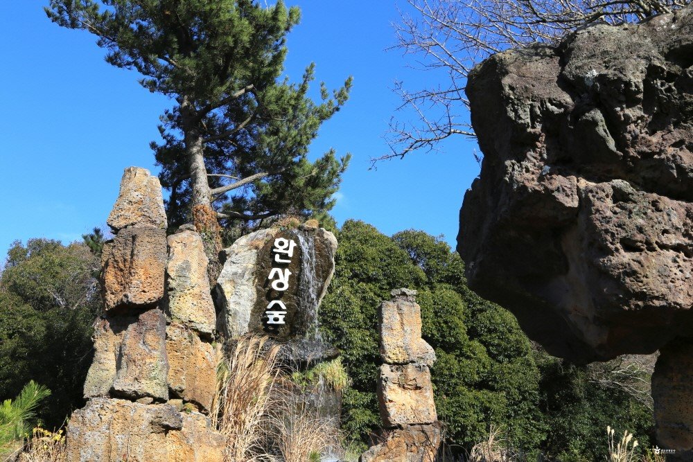 환상의 숲 곶자왈 공원